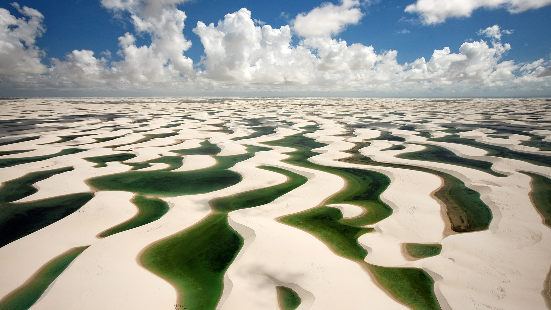 世界体能恢复公益训练营结营:多地学员获得实操资格证,体能世界纪录